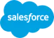 Salesforce Cyber Security